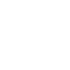 WEB & multimedia
